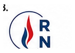 National Rally logo