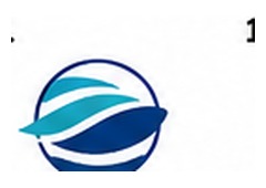 Blue and White logo